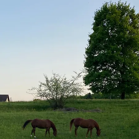 Martine - Coeur D'alsace Saint-Pierre-Bois